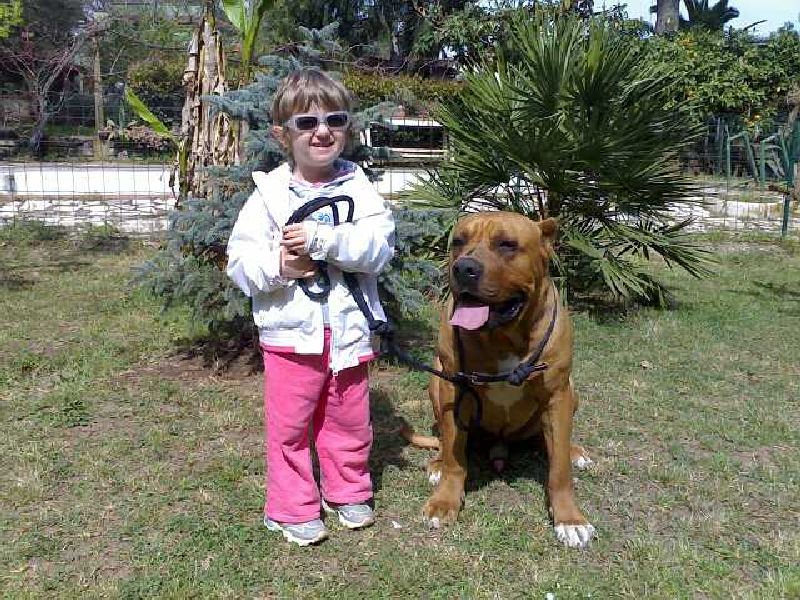 4.rebecca e spartacus il miglior bodygard al mondo.jpg - Click to close this window